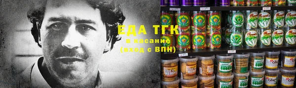 индика Белокуриха